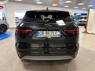 JAGUAR F-Pace usata, con Fendinebbia