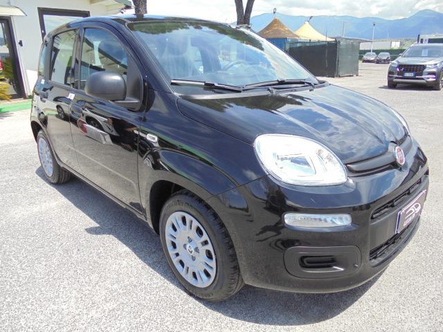 FIAT Panda usata 15
