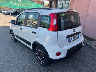 FIAT Panda usata, con Alzacristalli elettrici