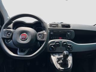 FIAT Panda usata 7