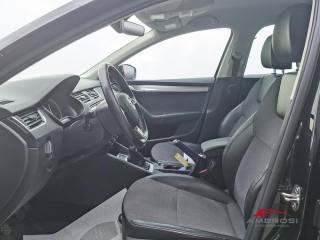 SKODA Octavia usata 9
