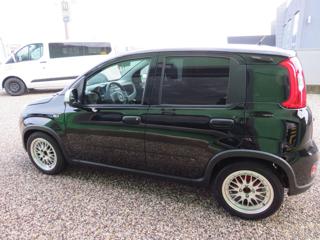 FIAT Panda usata, con Airbag