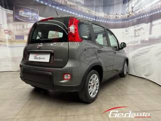 FIAT Panda usata, con Boardcomputer