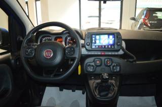 FIAT Panda Cross usata, con Controllo automatico clima
