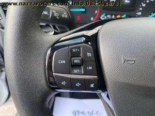 FORD Fiesta usata, con Cronologia tagliandi
