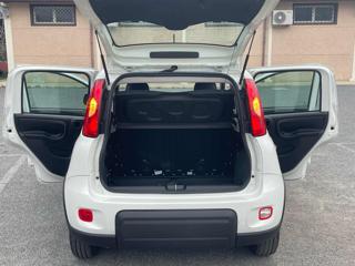 FIAT Panda usata 16