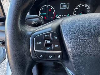 FORD Transit usata, con Cronologia tagliandi