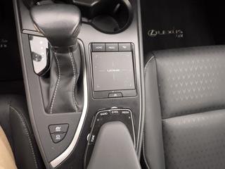 LEXUS UX 250h usata, con USB