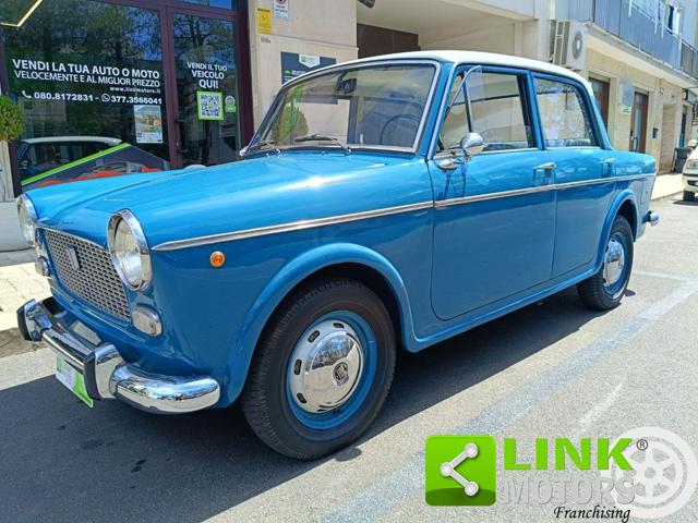 FIAT 1100 usata 6