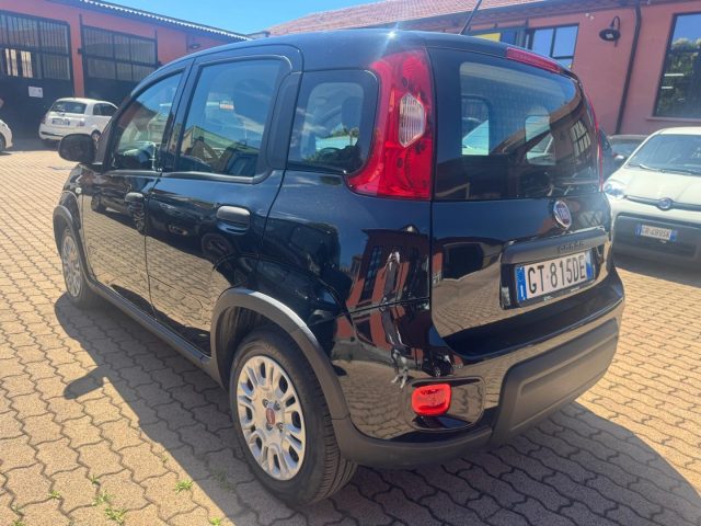 FIAT Panda usata, con Alzacristalli elettrici