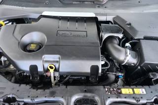 LAND ROVER Range Rover Evoque usata 61
