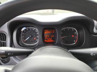 FIAT Panda usata 13