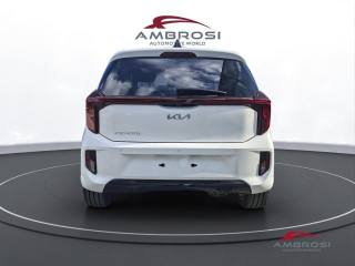 KIA Picanto usata 7