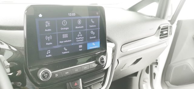 FORD Fiesta usata, con Cronologia tagliandi