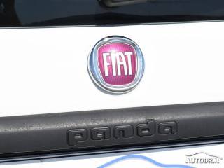 FIAT Panda usata 48