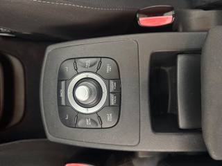 RENAULT Scenic usata 15