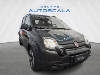 FIAT Pandina usata, con Autoradio