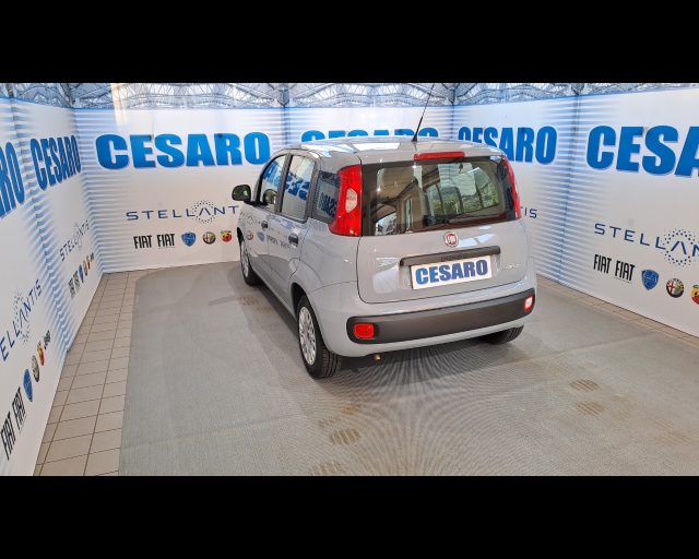 FIAT New Panda usata, con Alzacristalli elettrici