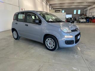 FIAT Panda usata, con ESP