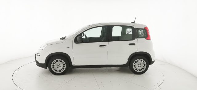 FIAT Panda usata, con Alzacristalli elettrici