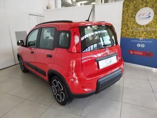 FIAT Panda usata, con Alzacristalli elettrici