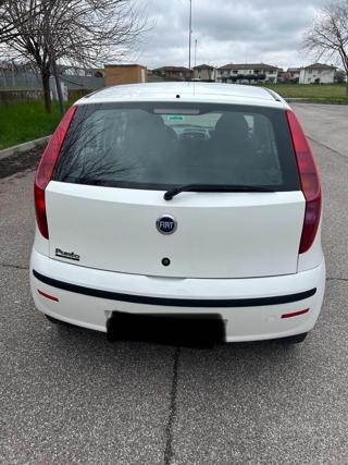 FIAT Punto usata 1