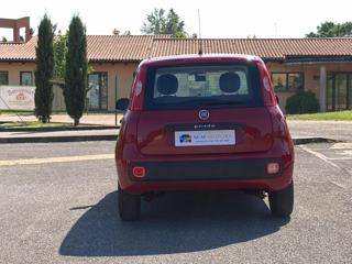 FIAT Panda usata, con Controllo automatico clima