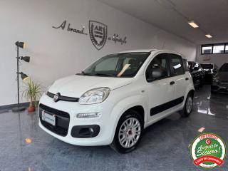 FIAT Panda 1.2 Lounge Bluetooth Usb MY 19 Unipropietario