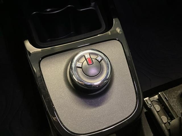 DACIA Spring usata 20