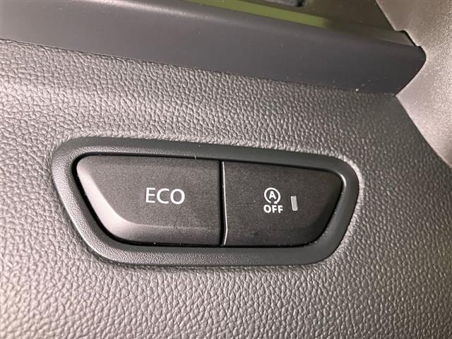 RENAULT Kadjar usata 22