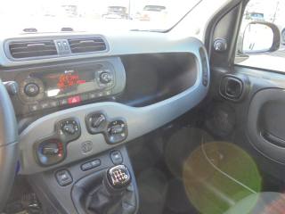 FIAT Panda usata 24