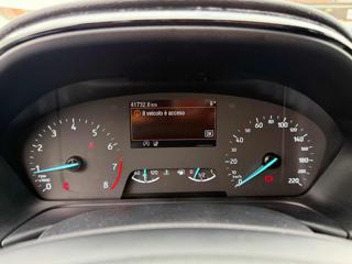 FORD Fiesta usata, con Bracciolo