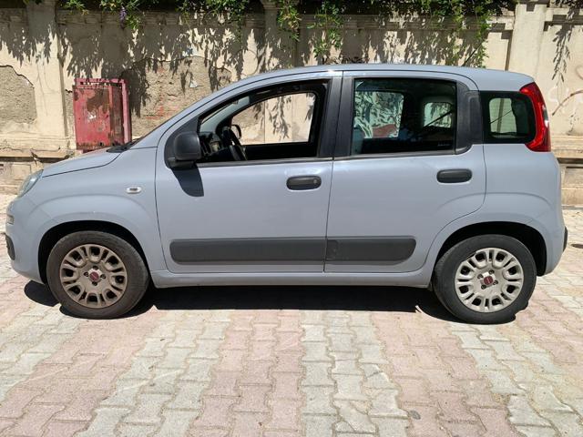 FIAT Panda usata, con Airbag testa