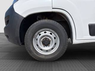 FIAT Ducato usata 13