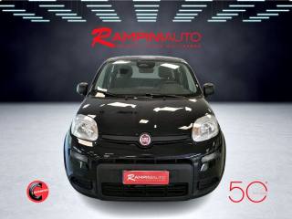 FIAT Panda usata 2