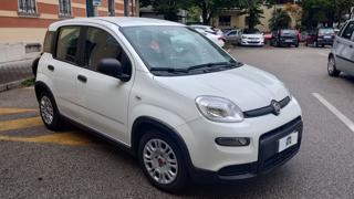 FIAT Panda 1.0 FireFly S&S Hybrid NEOPATENTATI