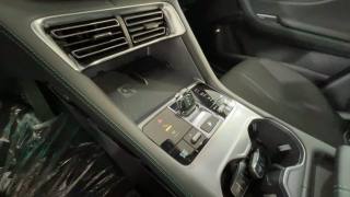 BYD Seal usata, con Specchietti laterali elettrici