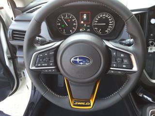 SUBARU Crosstrek usata, con Controllo trazione