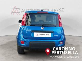FIAT Panda usata, con Alzacristalli elettrici
