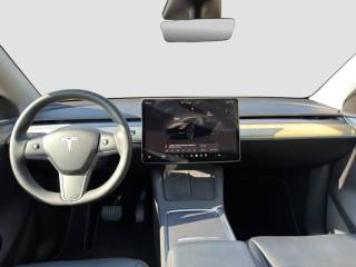 TESLA Model Y usata 11
