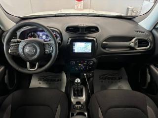 JEEP Renegade usata, con Boardcomputer