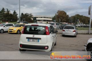 FIAT New Panda usata 14