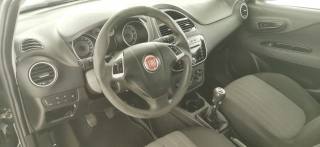FIAT Grande Punto usata 30