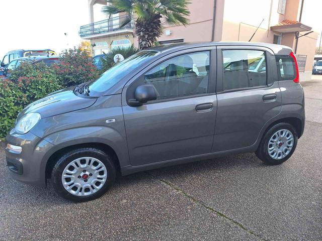 FIAT Panda usata 18