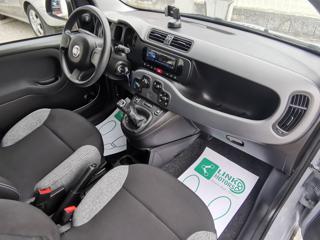 FIAT Panda usata, con Airbag testa