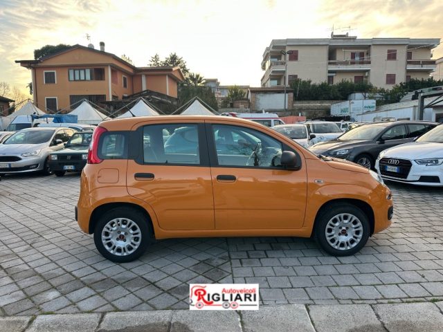FIAT Panda usata 1