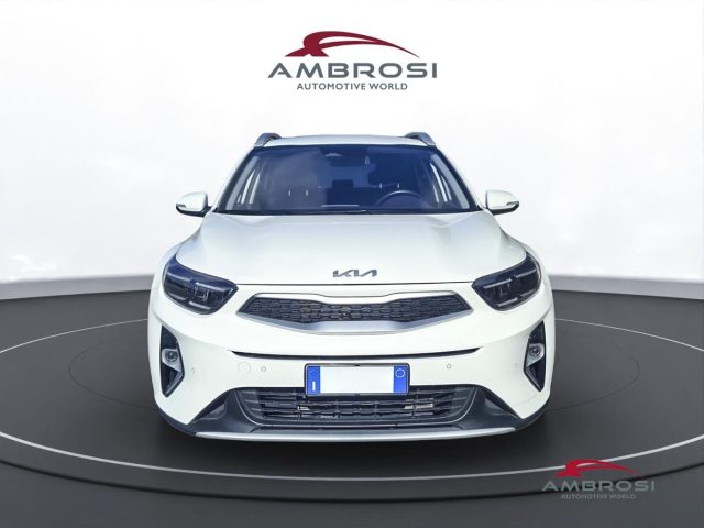 KIA Stonic usata 6