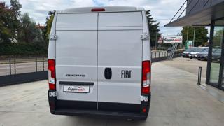 FIAT Ducato usata 16