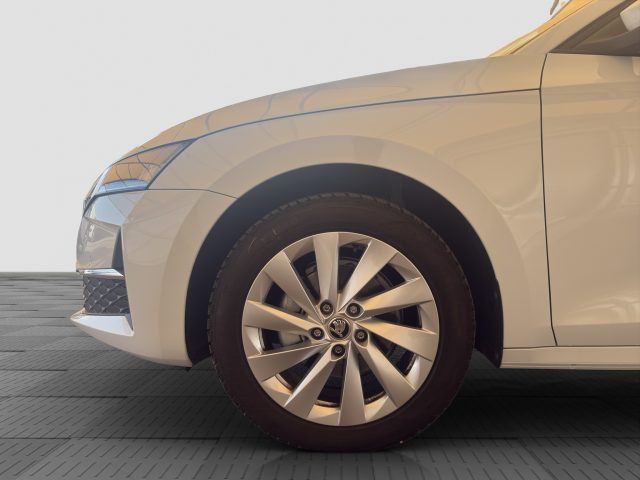 SKODA Octavia usata 14