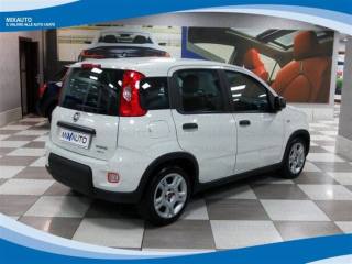 FIAT Panda usata, con Airbag